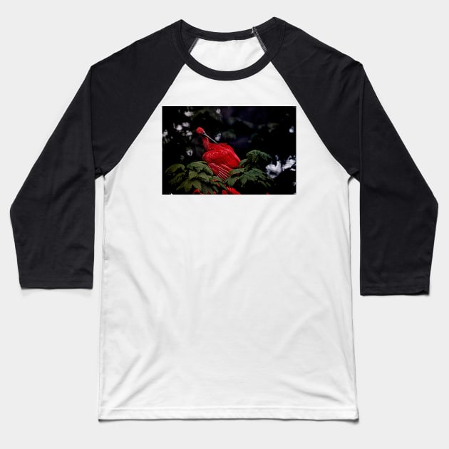 Scarlet Ibis Baseball T-Shirt by Ladymoose